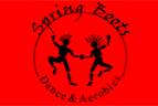 Spring Boots Academy Of Dance And Aerobics, Besant nagar